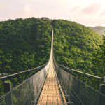 bridge bridge